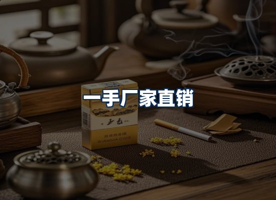 专业团队办公环境